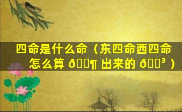 四命是什么命（东四命西四命怎么算 🐶 出来的 🐳 ）